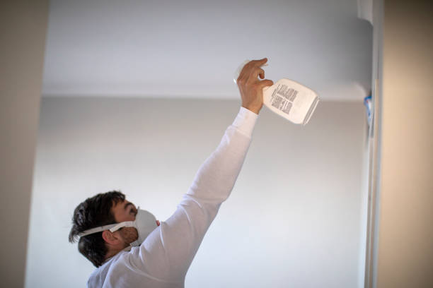 Best Mold Testing  in Beaumont, TX