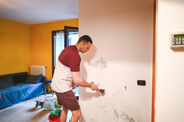 Best Mold Remediation Experts  in Beaumont, TX