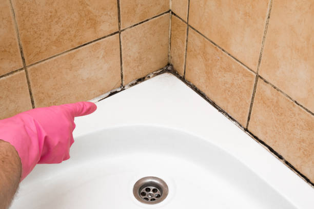 Best Mold Testing  in Beaumont, TX